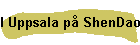 I Uppsala p ShenDao